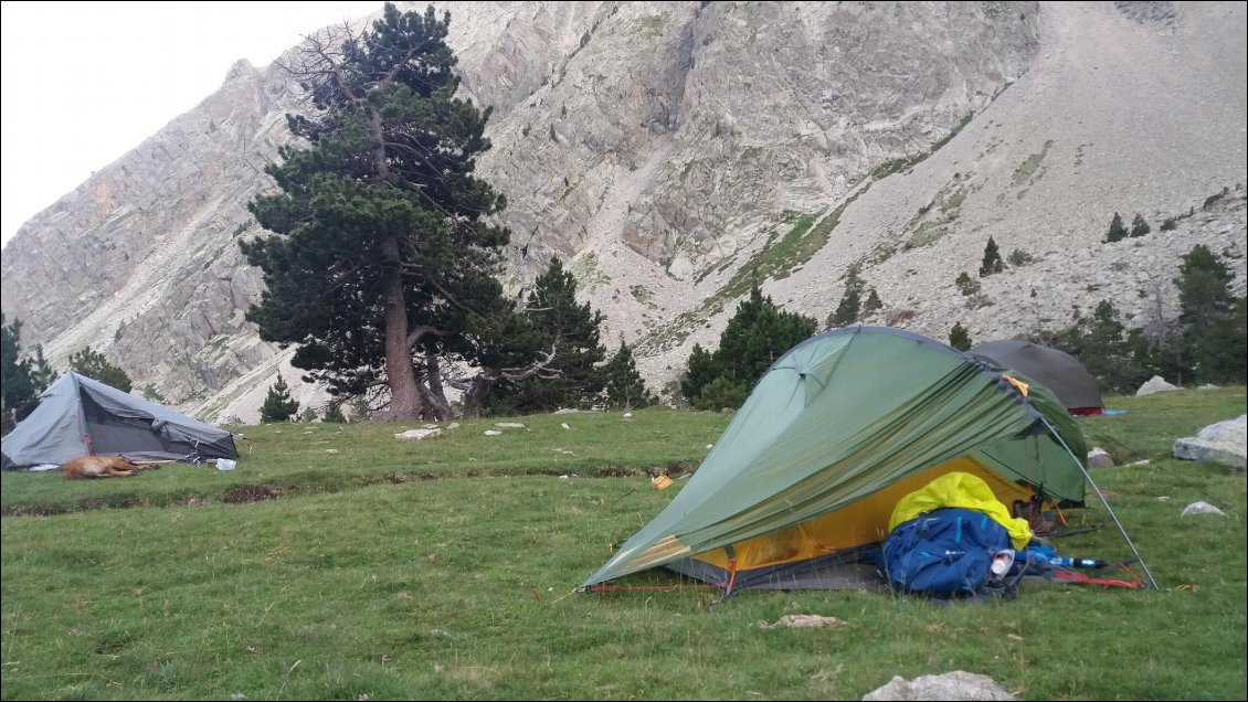 J8. Au bivouac nous n’étions pas moins de cinq tentes (!) plantées près du ruisseau à l’abri des regards du refuge Ull de Ter. Nous étions que des français, les espagnols avaient réservés dans le refuge pour le week-end.