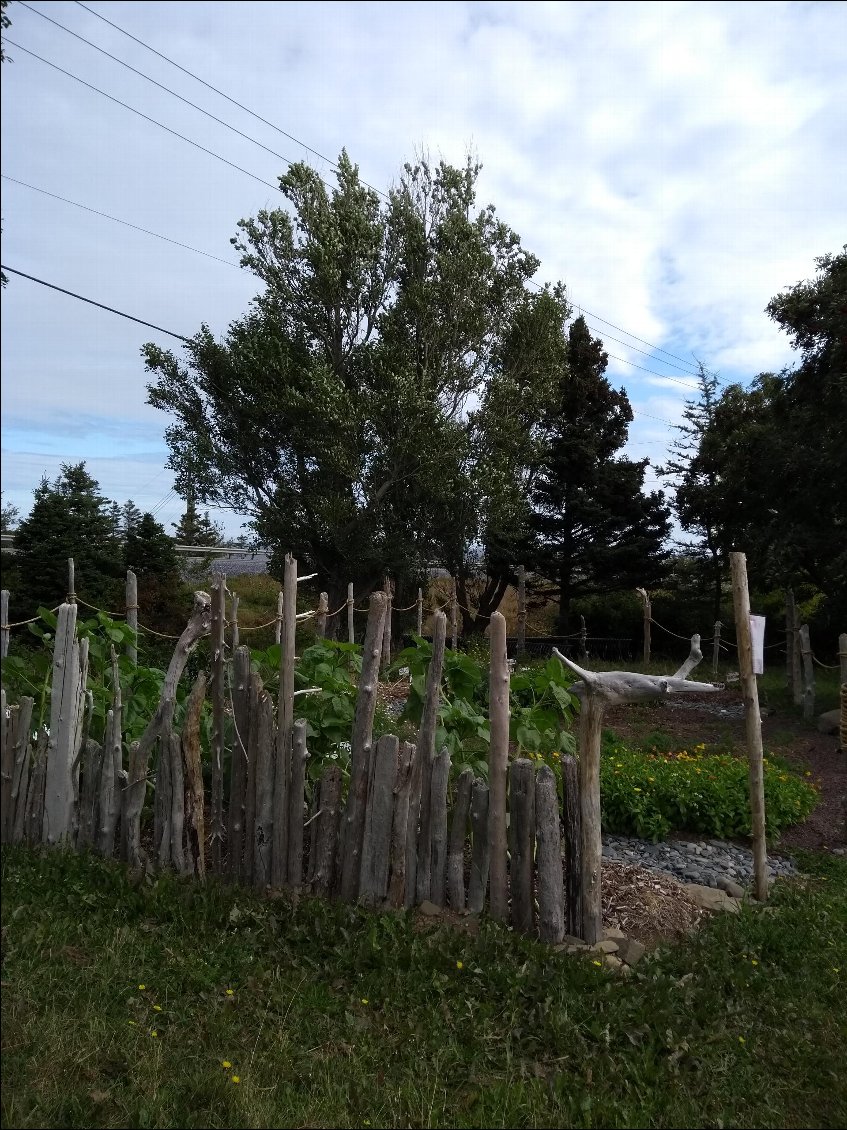 Jardin potager. J'adore la clôture.SEA SHALK.