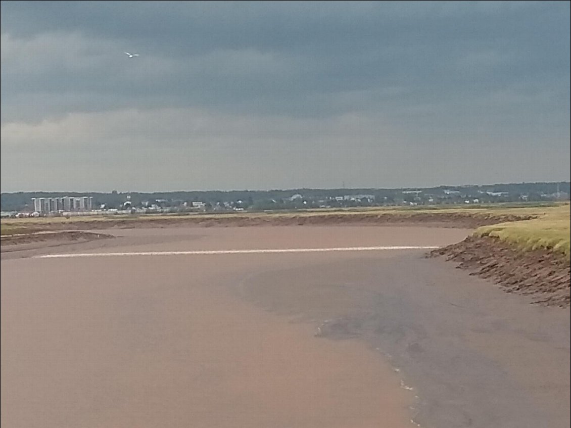 Rivière petitcodiac ou chocolat parcourue par une vague a chaque maree