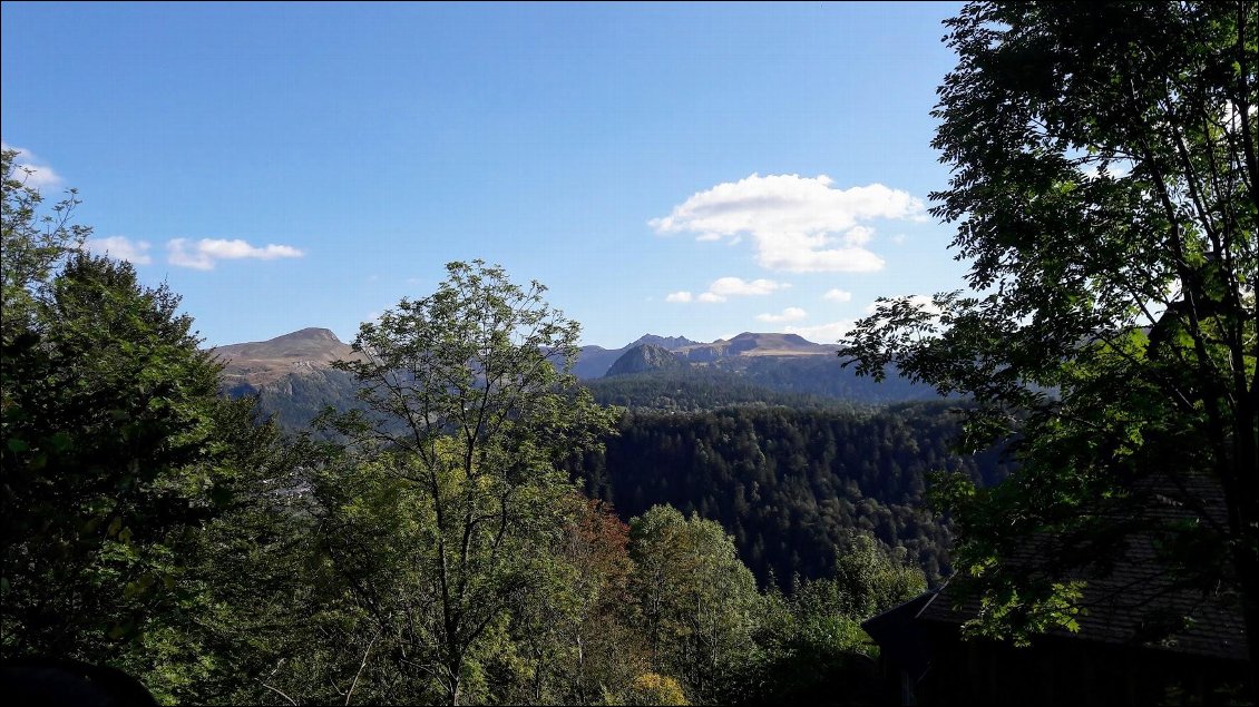 La montée se fait par un petit chemin un peu raide, sous couvert de la forêt. 