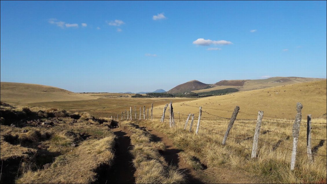 Après la montée, on débarque sur un joli plateau avec une vue superbe (le Puy de Dome dans le fond). 