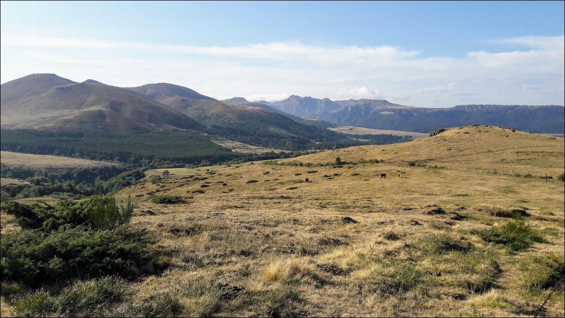 On part pour rejoindre le col de la Croix Morand / col de Dyane, en évitant autant que possible la route, quitte à faire un petit détour à travers champ.