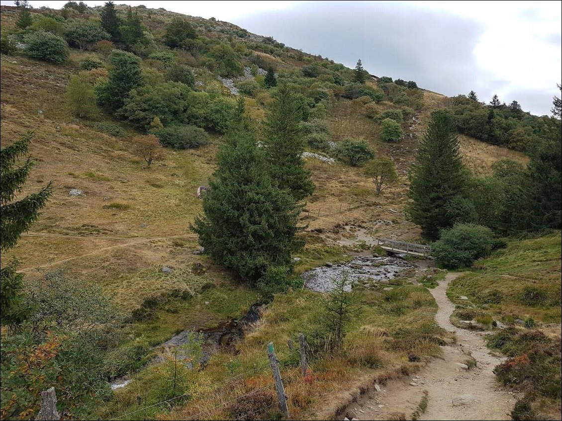 On redescend tranquillement vers le Mont Dore par un joli chemin. 