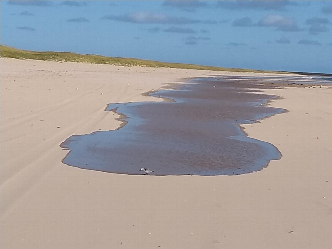 La plage des grands Echoueries sur l'île de la Grande Entrée-8km de long.