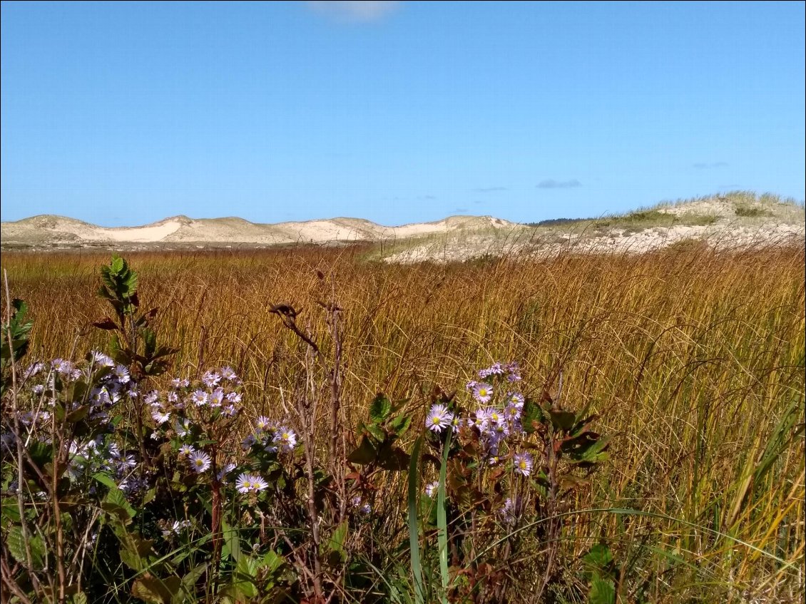 Derrière les dunes de sable.