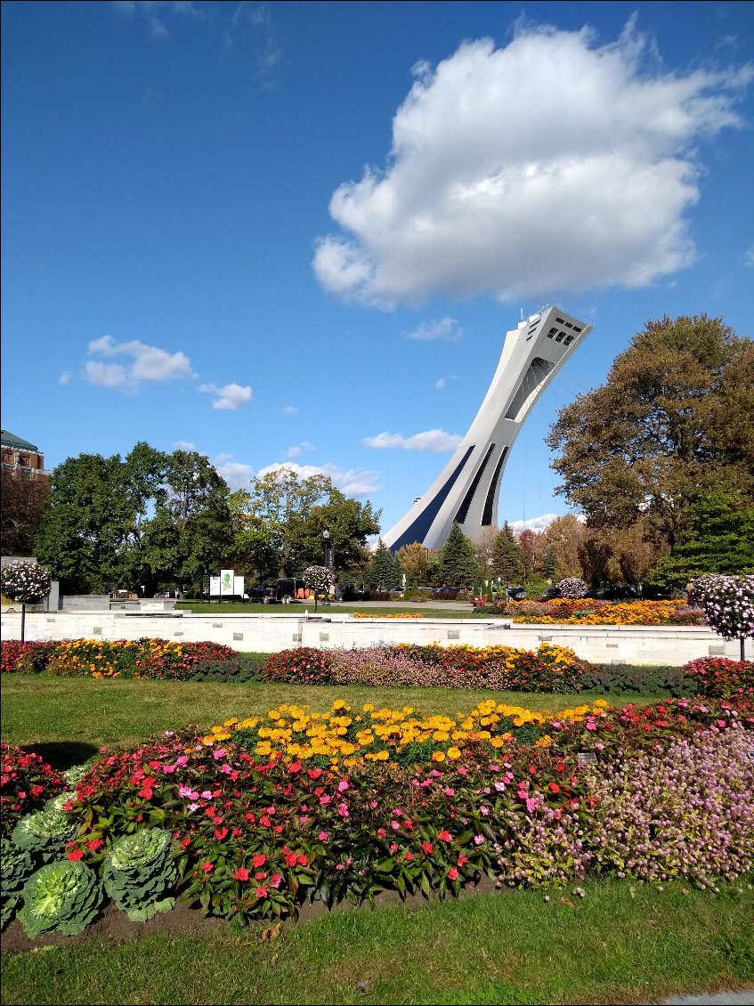 Mardi 8 oct 2019 à Montréal