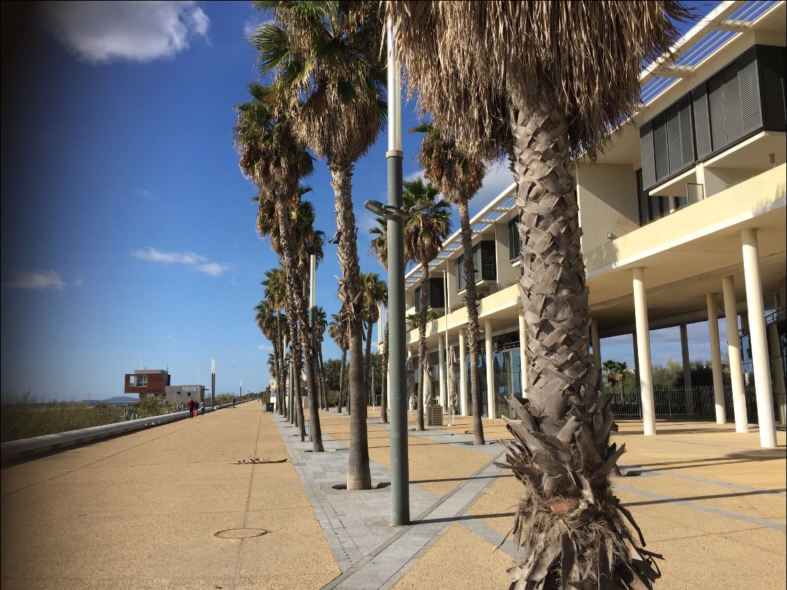 La plage du Lido a sete