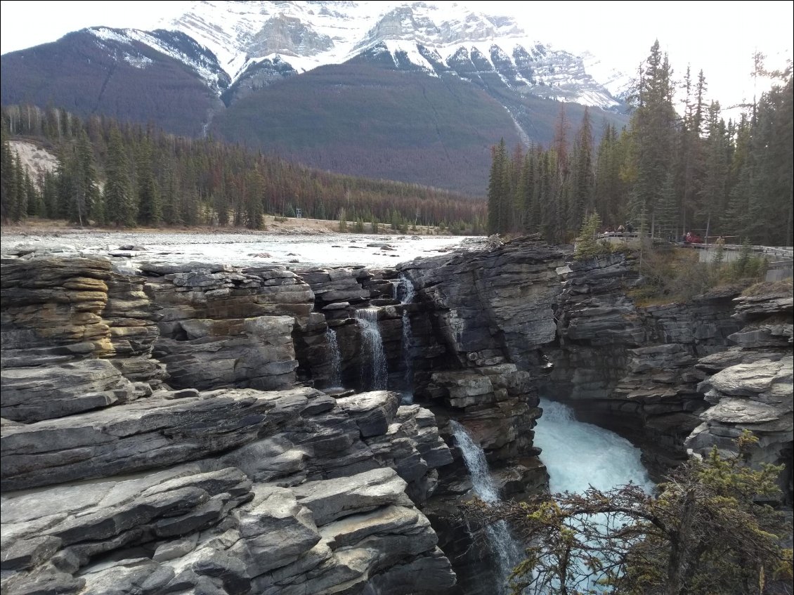 Chutes Athabasca sur la route des glaciers.