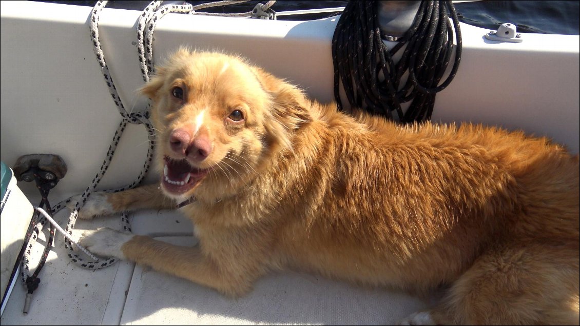 Mais comme son chien Kulikili, c'est la sensation d’être en bonne compagnie qui prévaut et nous fait sourire.