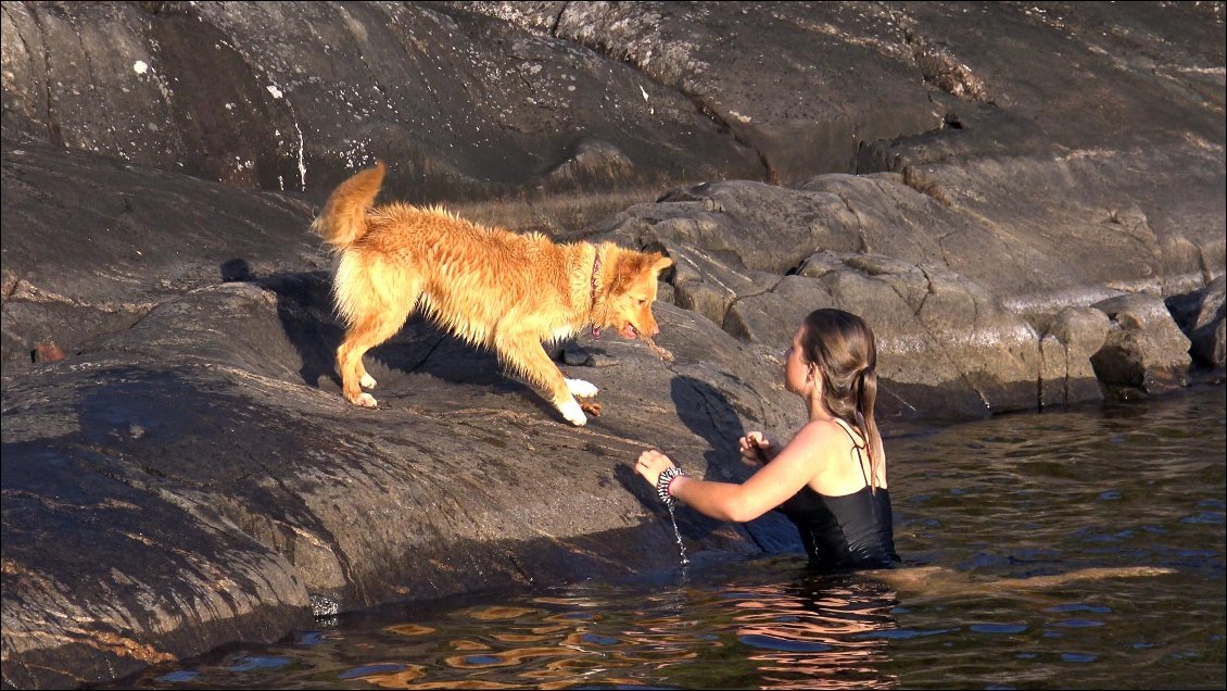 Ce chien est comme toi, il n'a besoin que d'insouciance pour exister.
Pourtant un jour il va mourir et toi tu vas continuer de grandir.