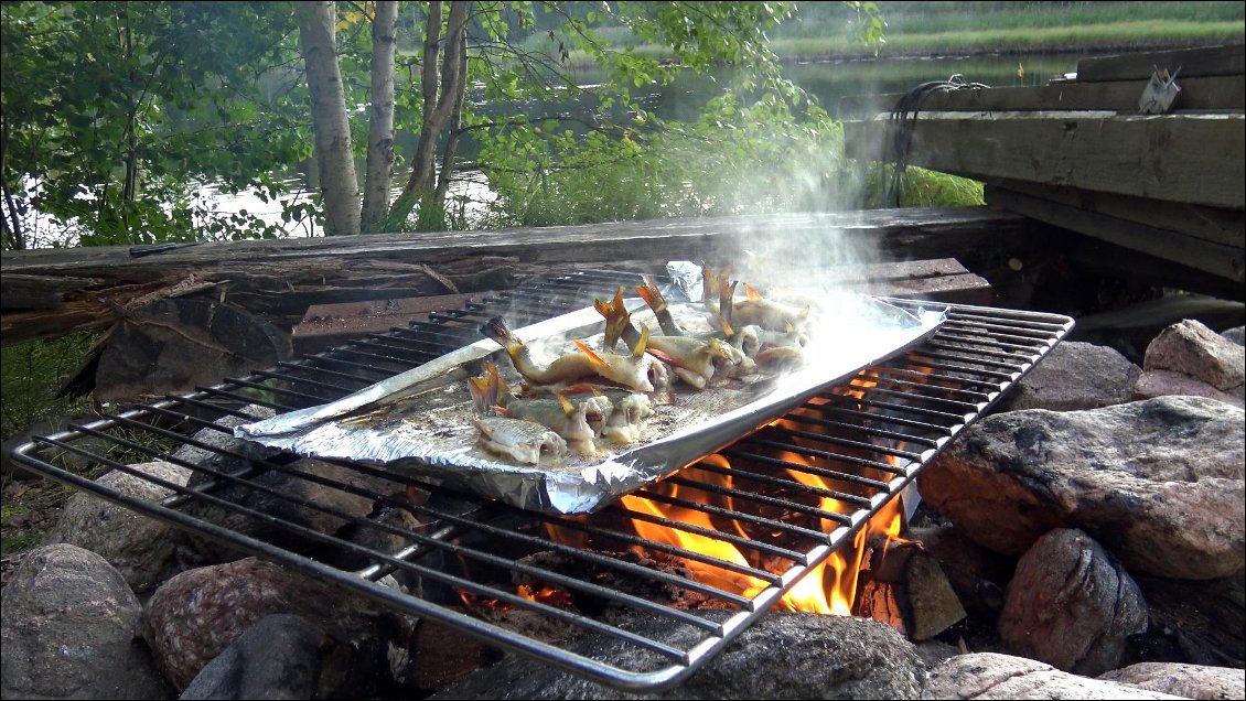 Il a fallu si peu de temps pour pécher ces quelques poissons qu'il paraissait justifié de l'avoir fait !