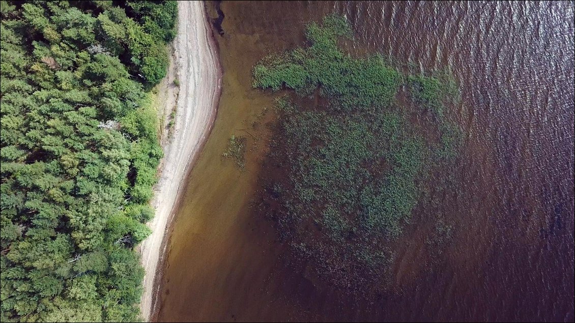 La nature suggère des courbes susceptibles d'adoucir le vivant, alors qu'elle reste si cruelle.