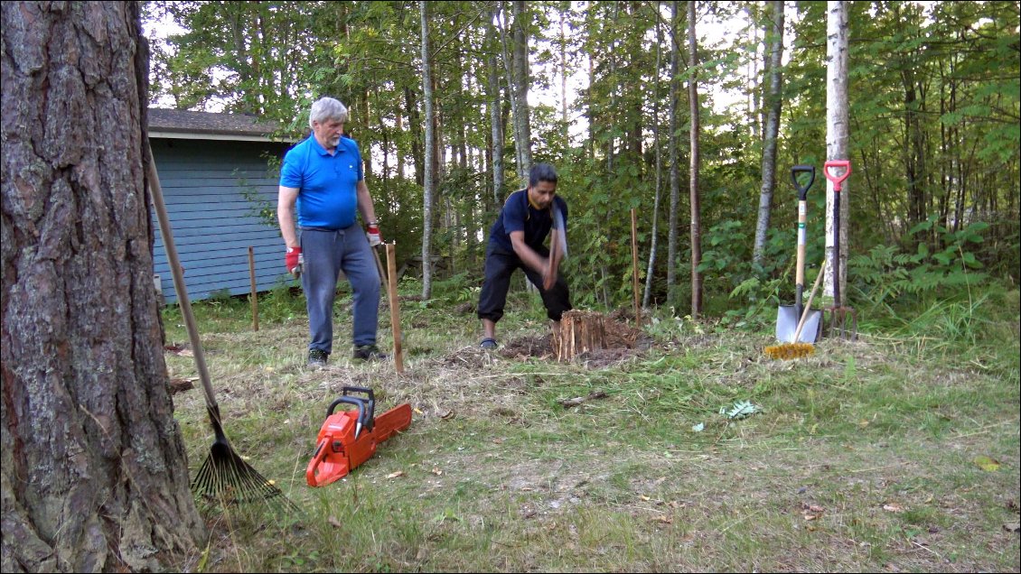 Pentti décide d'aider sérieusement Israfil pour construire un nouvel abri tout en bois, pour y loger une pompe à eau, ainsi qu'une réserve à bois. Il faut commencer par enlever les souches et niveler le terrain. Nous sommes encore là alors tout le monde s'y met.