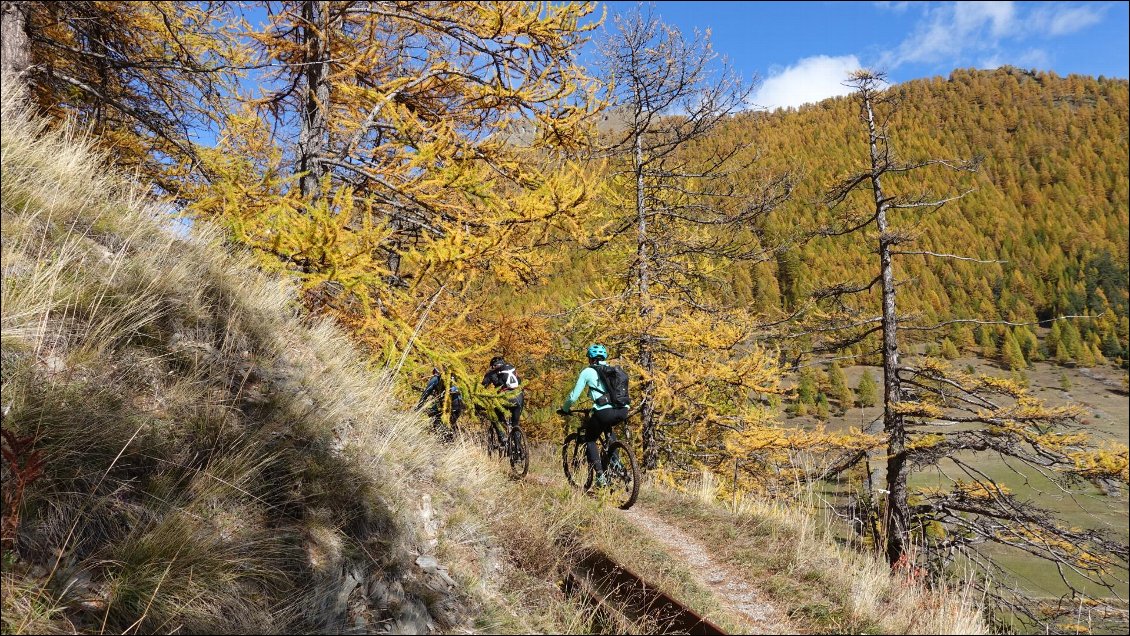 Sentier qui longe le canal entre Souliers et le lac de Roue.
Queyras.