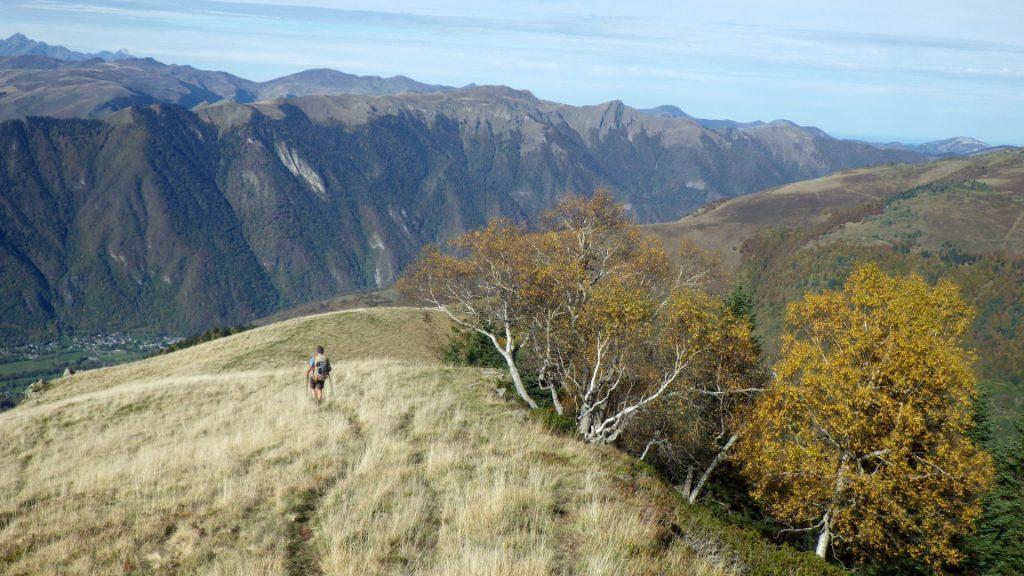 Descente vers la forêt