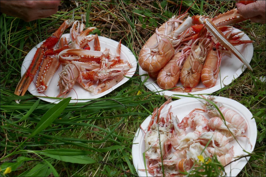 Grâce à notre hôte, notre repas du soir s'est bien amélioré.