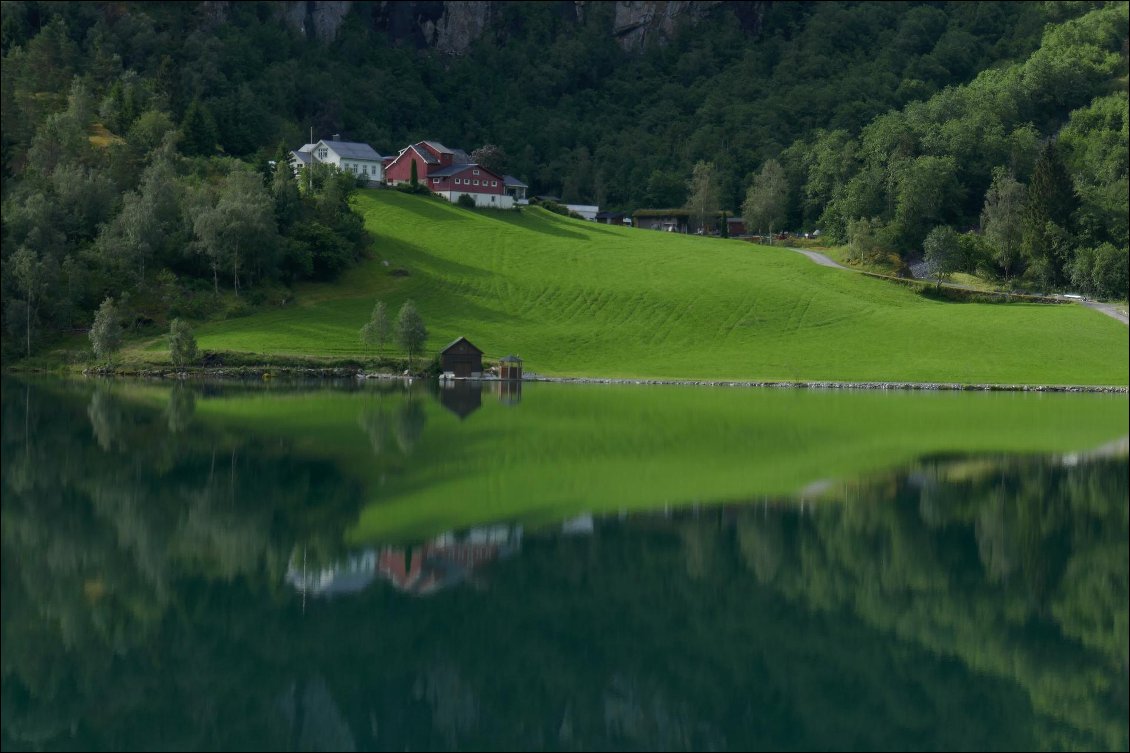 Habitat typique au bord du lac.