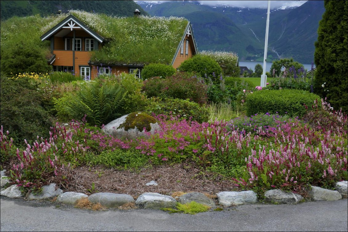 Maison typique très fleurie, au bord du fjord.