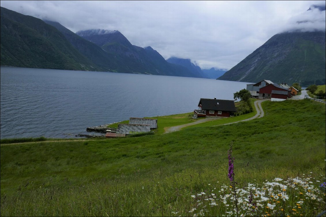 Le long du fjord.