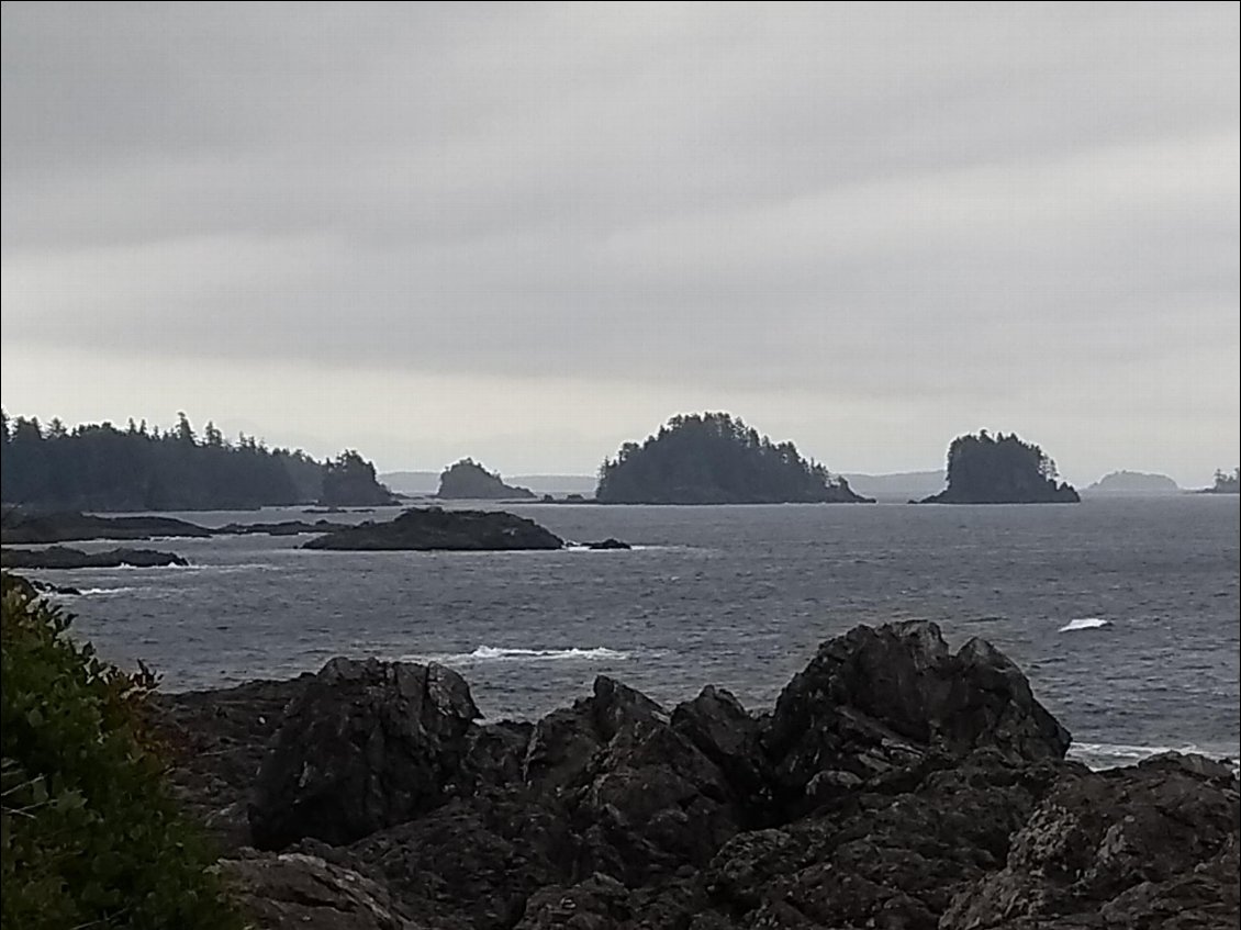 vendredi 8 nov . Arrivée a Ucluelet