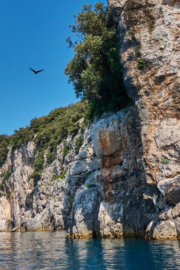 Les falaises sud-ouest de Plavnik où nichent les vautours fauves