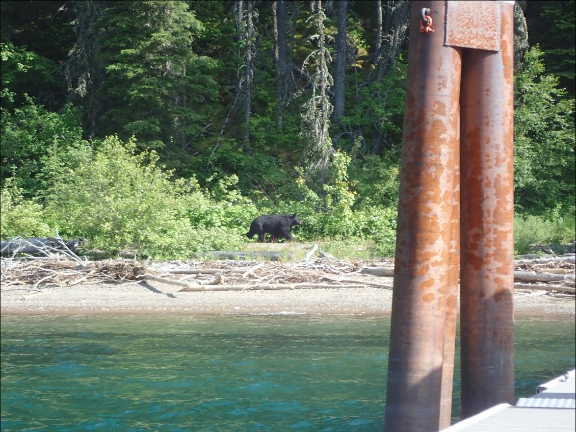 gouter sur un ponton du lac de Waterton, un peu animé