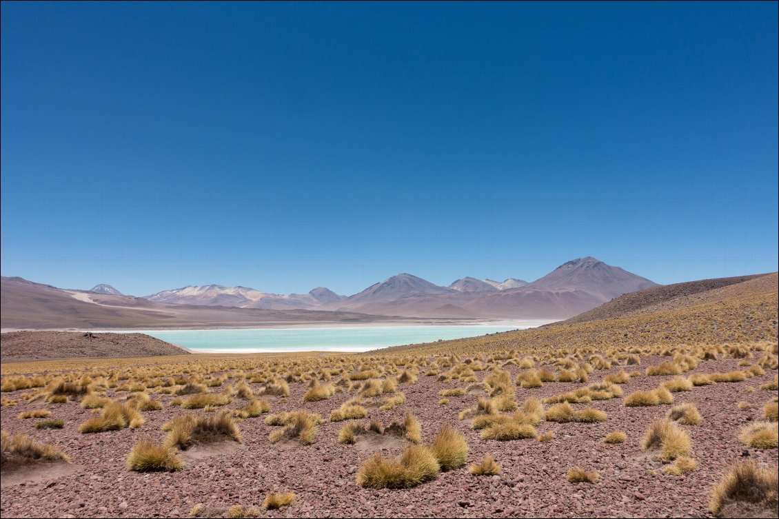 Couleurs incroyables dans le Sud Lipez
Photo : Manu d'Adhémar