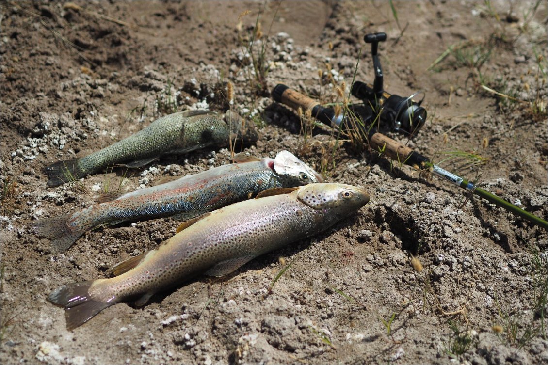 Bonne pêche sur le rio Chubut.
D'un océan à l'autre en canoë.
Photo Thomas Pagnon