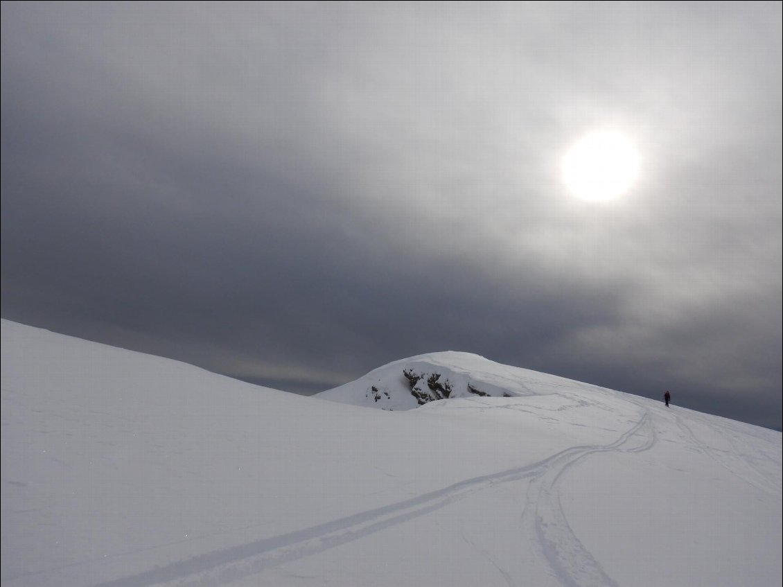 Conditions de lumière pas simples, il se débrouille bien