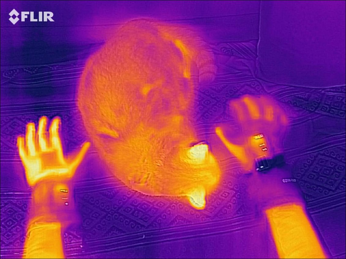 Comparaisons à la caméra thermique : plus c'est jaune, plus c'est chaud. On voit que le gant à gauche de la photo est moins isolant (il laisse davantage sortir la chaleur vers l'extérieur) que celui de droite. Le chat, quant à lui, est bien isolé par son pelage, sauf aux oreilles :-).
Ces photos en caméra thermique permettent de voir les zones du gant concernées par le circuit de chauffage (ainsi, le poignet n'est pas chauffé).