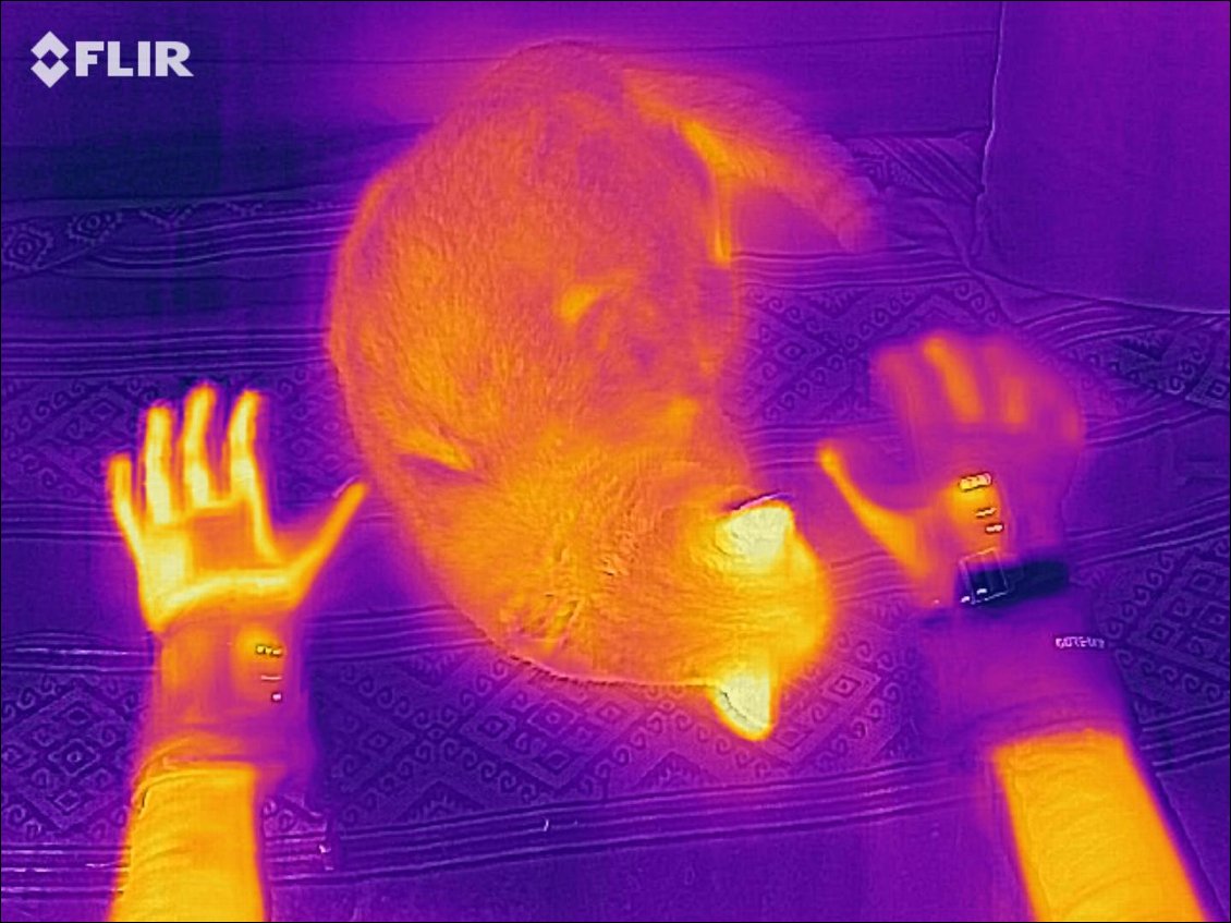 Comparaisons à la caméra thermique : plus c'est jaune, plus c'est chaud.
On voit que le gant à gauche de la photo, le IWarm 2 Layer est moins isolant (il laisse davantage sortir la chaleur vers l'extérieur) que le IWarm GTX à droite.
Ces photos en caméra thermique permettent de voir les zones du gant concernées par le circuit de chauffage (ainsi, le poignet n'est pas chauffé).
Note : cette photo a été prise en début d'allumage du chauffage, on voit par exemple que l'index du IWarm GTX, dont l'extérieur est en cuir (ce n'est pas le cas des autres doigts) est mieux isolé que les autres doigts.