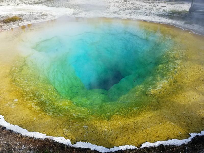 dans les zones thermales de Yellowstone