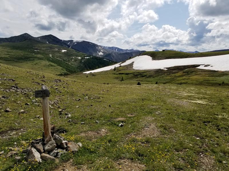prairie d'altitude