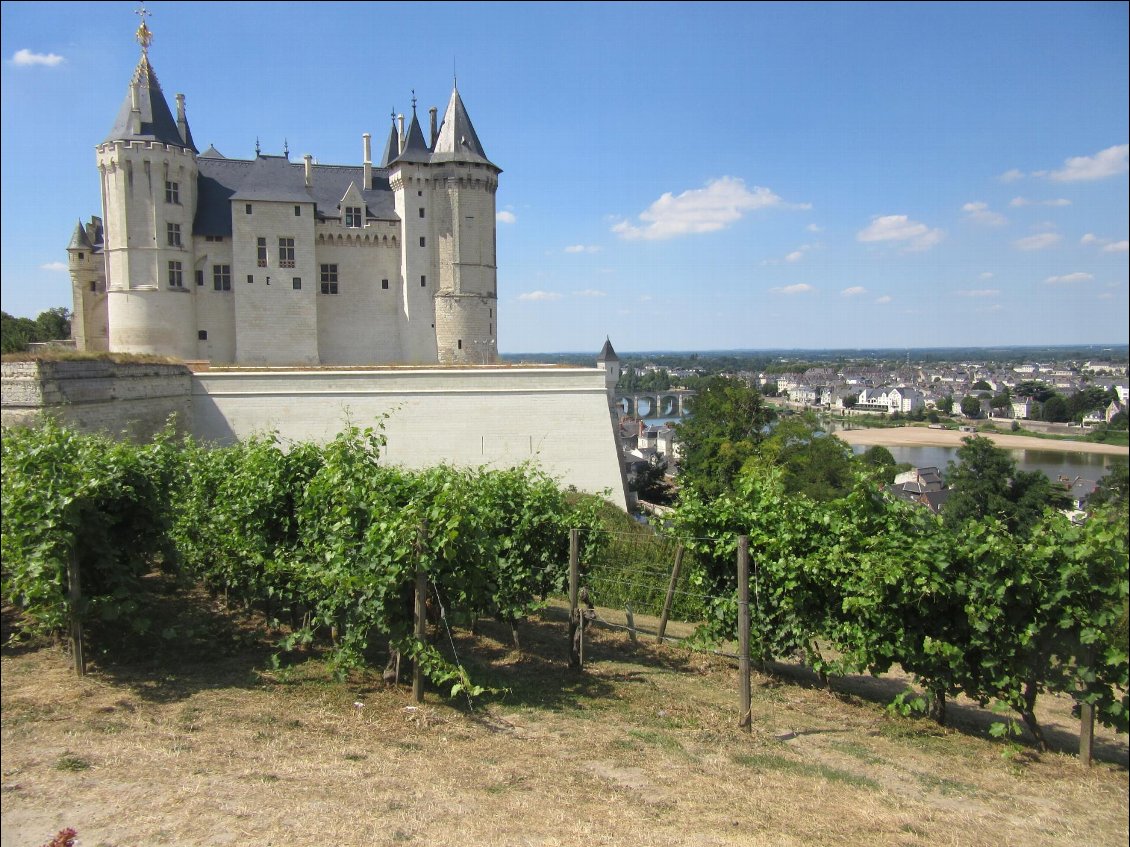 Château de Saumur