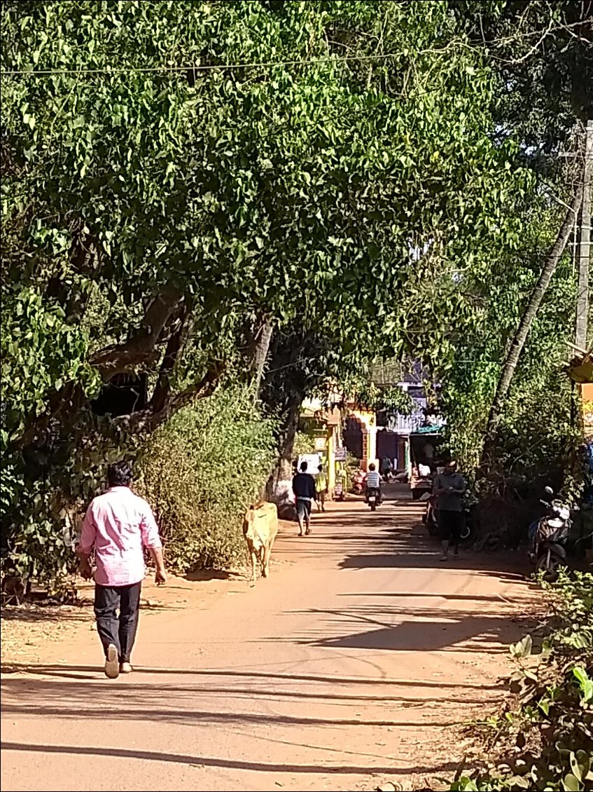 Rue commerçante d'Arambol
