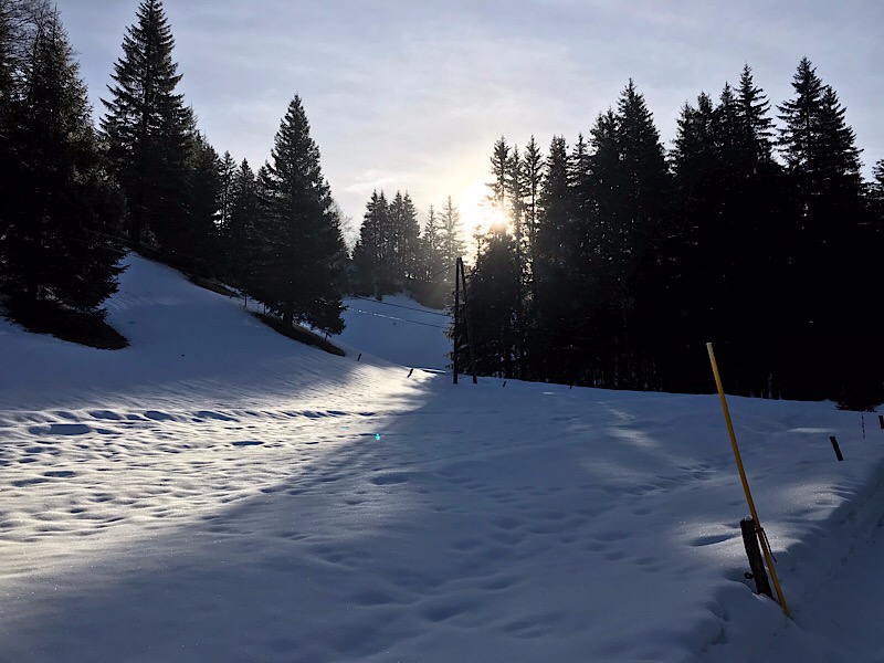 Sur la piste, à l'aube.