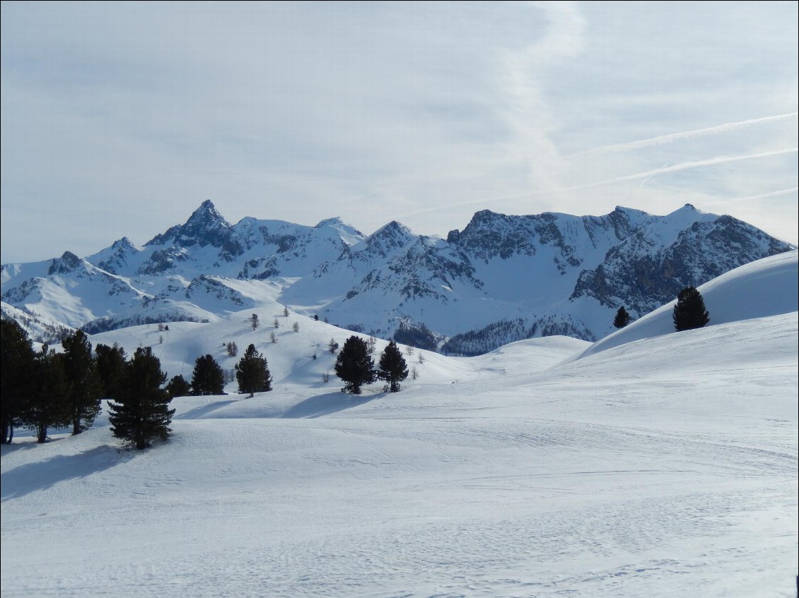 Neige immaculée à perte de vue.