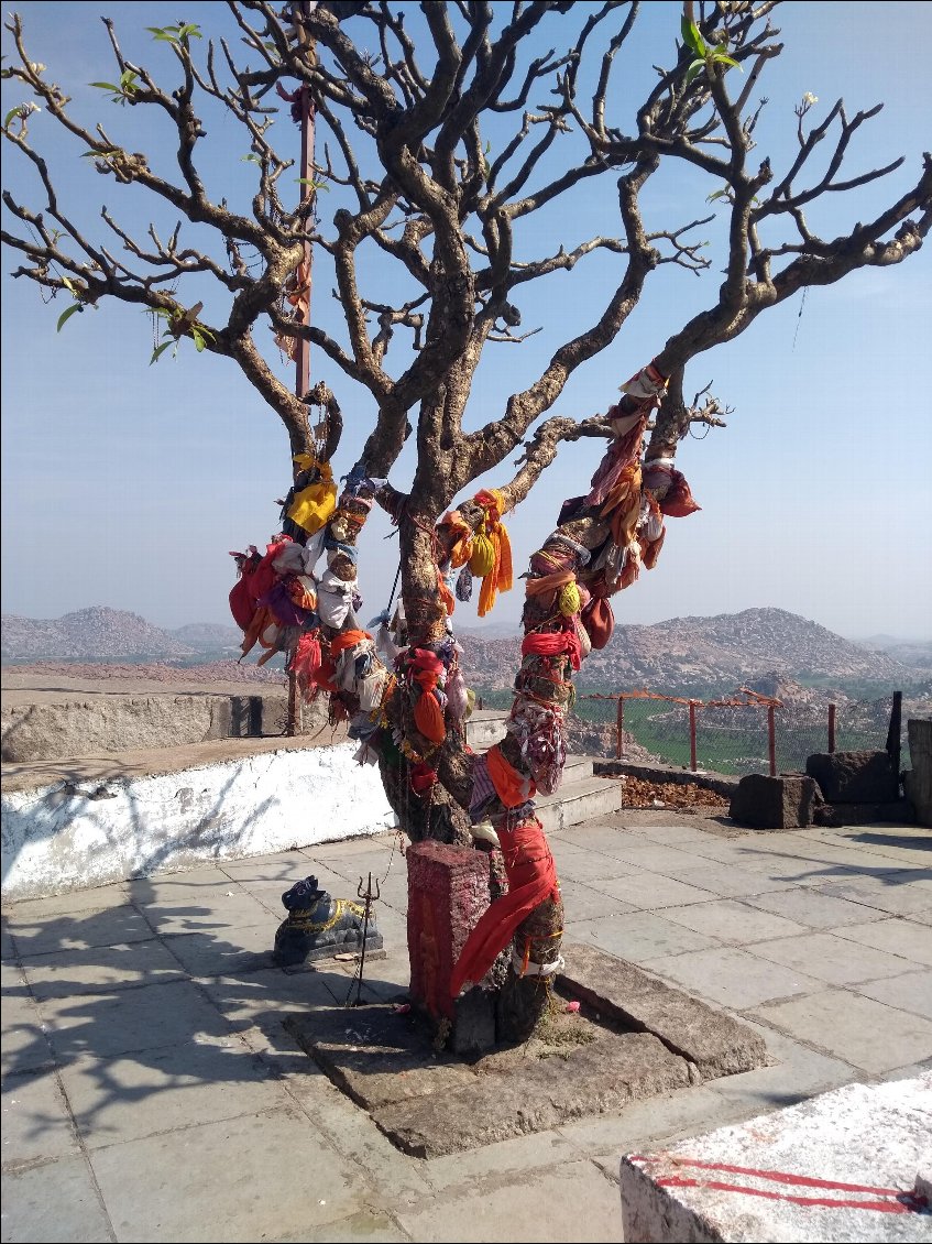 Temple de KODANDARAMA
