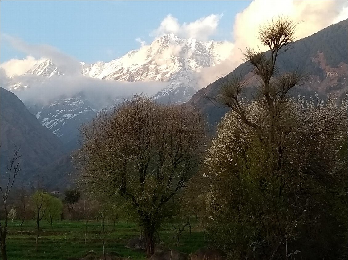 Sur le balcon de l'hôtel Quartz à Dharamsala