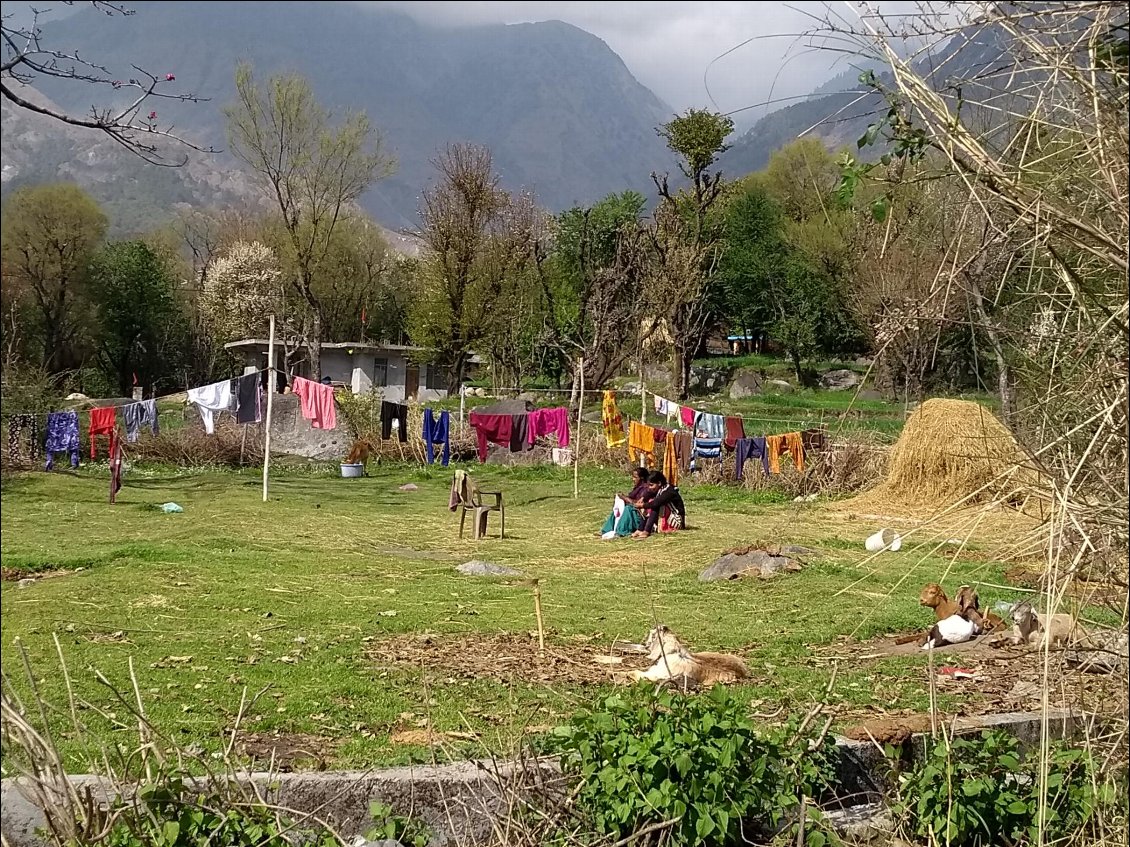 Dans leur jardin à Dharamsala.