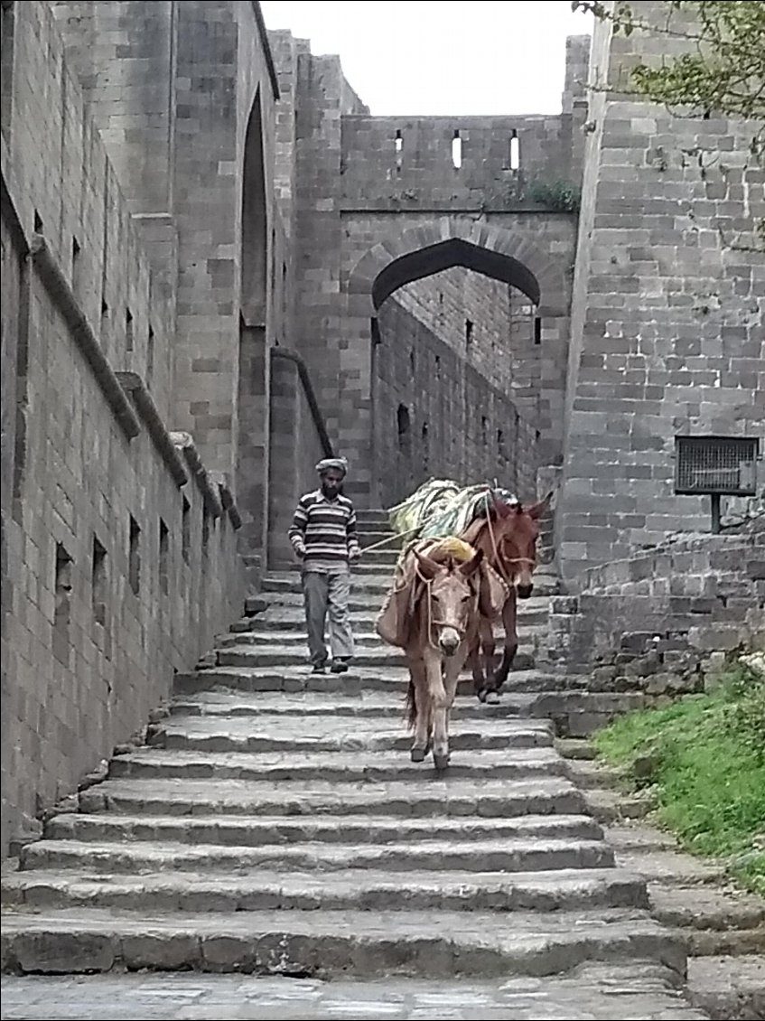 Le transport des pierres se fait à dos de mulet.