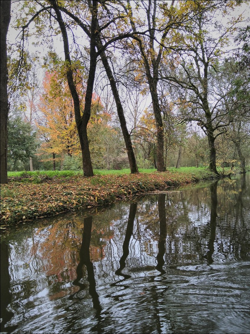 Couleurs d'automne.