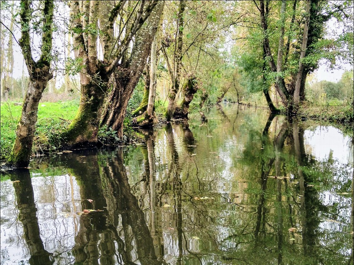 2 jour, perfusion de beauté...