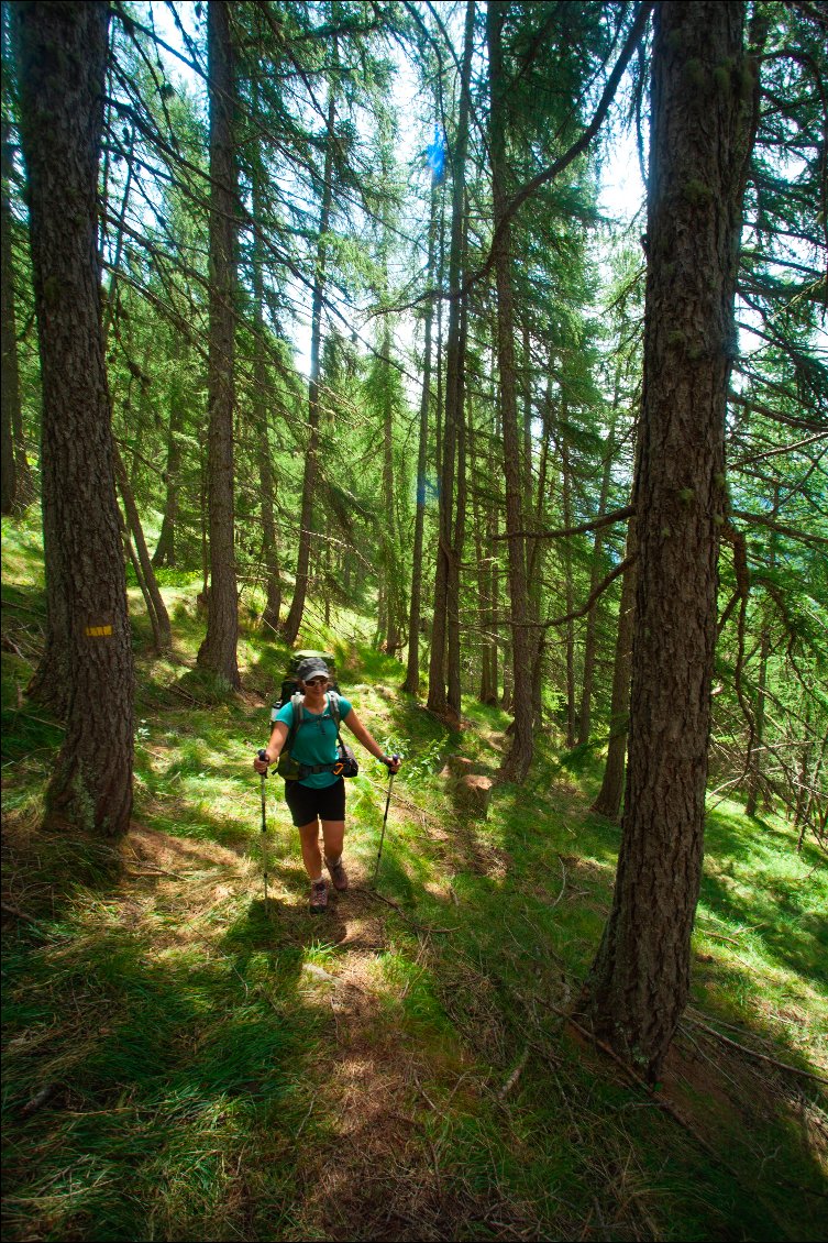 Démarrage raide mais à l'ombre des mélèzes.