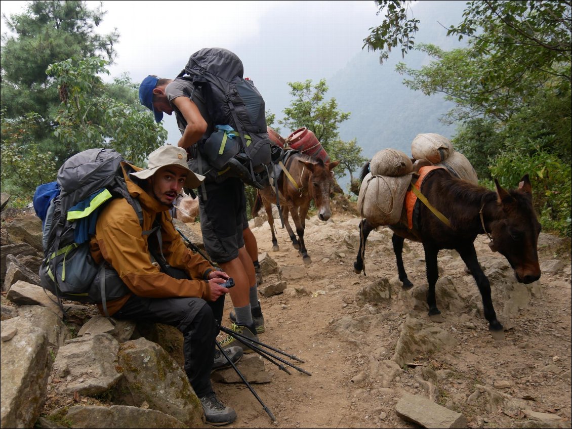 Du Khumbu aux Annapurnas