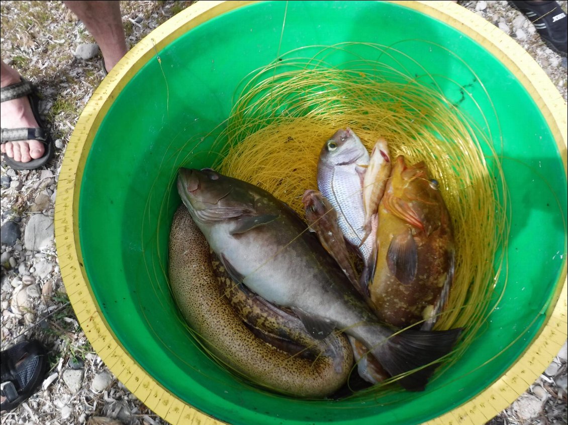 Le pêcheur qui est arrivé en fin de nuit en voiture est de retour avec une petite demi-douzaine de gros poissons dont un mérou.