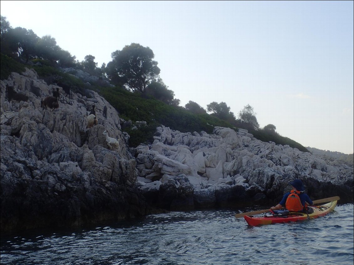 Kayak Jour 5