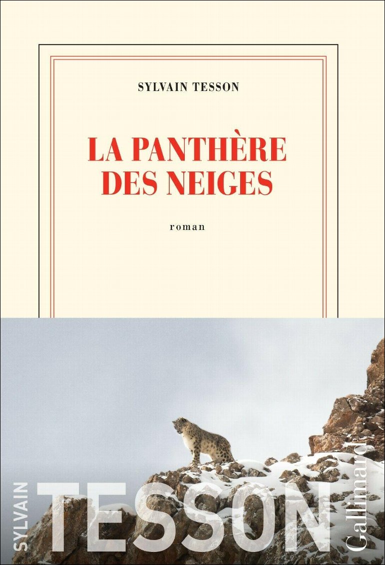 la-panthere-des-neiges