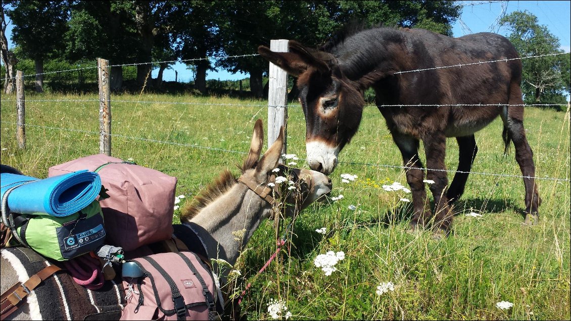 Une rencontre : un bisou...