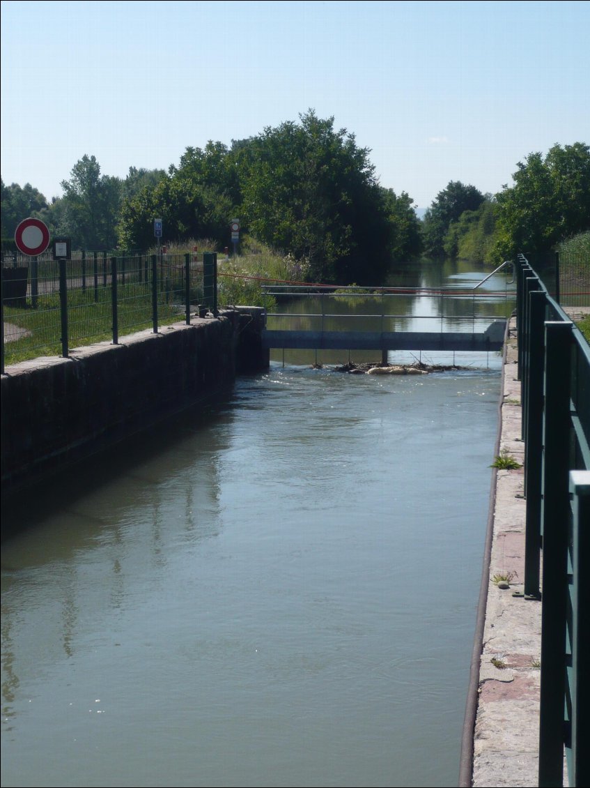 Canal parallèle au Rhin